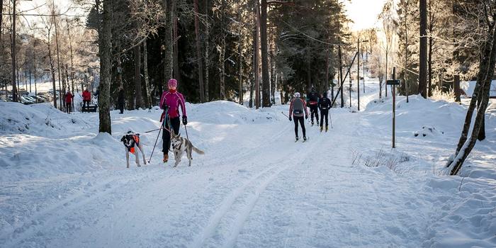 Winter activities